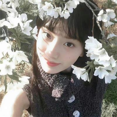 新源氏物语